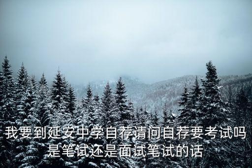 上海市延安中學自招面試，上海延安中學 近年 面試考題 急 跪求