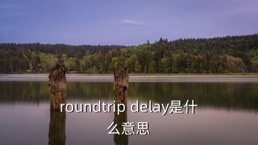 roundtrip delay是什么意思