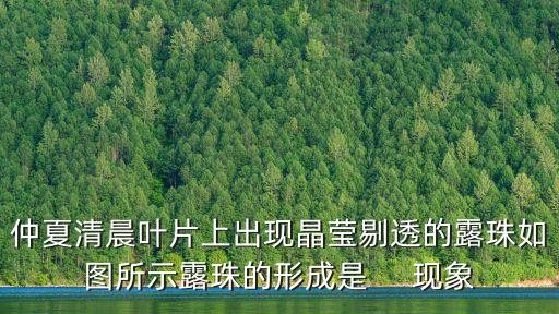 仲夏清晨葉片上出現晶瑩剔透的露珠如圖所示露珠的形成是     現象