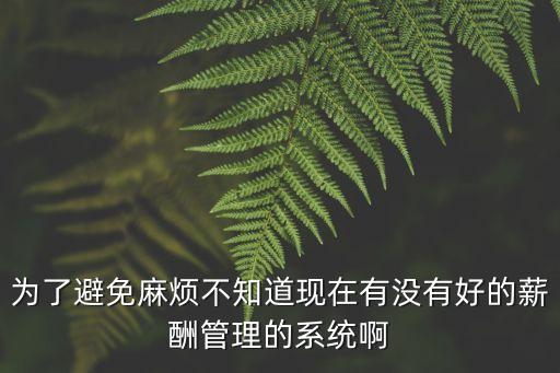 為了避免麻煩不知道現在有沒有好的薪酬管理的系統啊