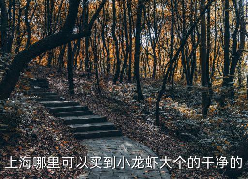 上海市小陸海鮮龍蝦麗都店，上海哪里的小龍蝦既好吃又實惠