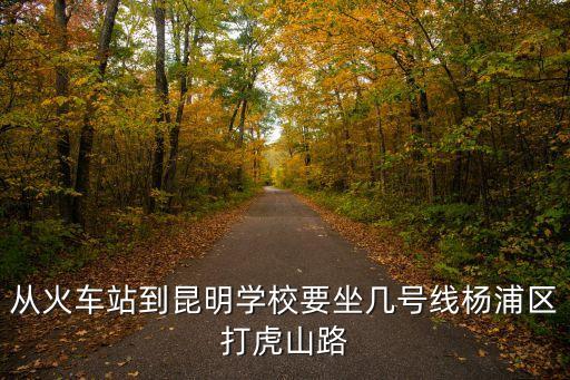 從火車站到昆明學(xué)校要坐幾號線楊浦區(qū)打虎山路