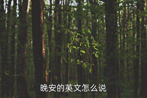 晚安的英文怎么說