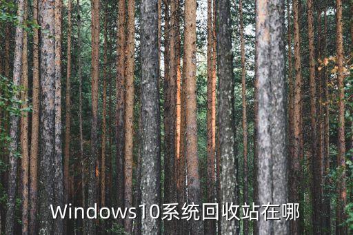 win10回收站，Windows10系統(tǒng)回收站在哪
