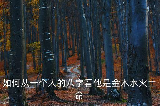 如何從一個(gè)人的八字看他是金木水火土命