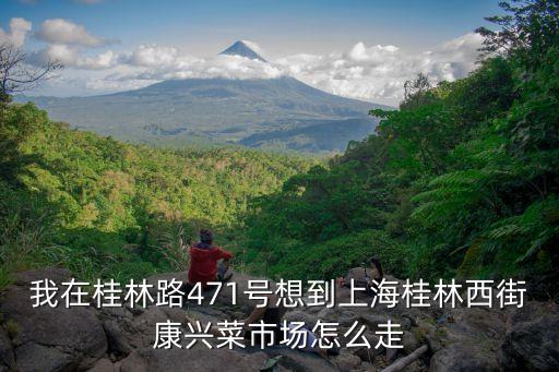上海市桂林路菜市場，上海蔬菜批發市場在哪 有幾個大型蔬菜市場