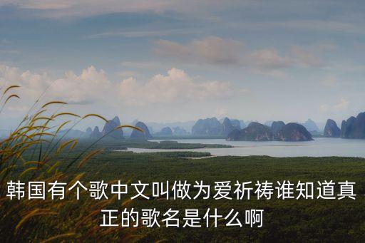 韓國有個歌中文叫做為愛祈禱誰知道真正的歌名是什么啊