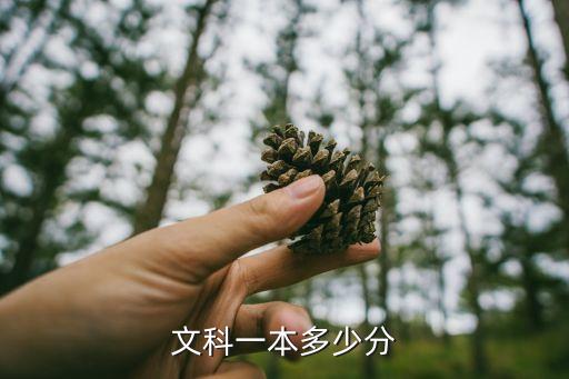 文科一本線，文科一本多少分
