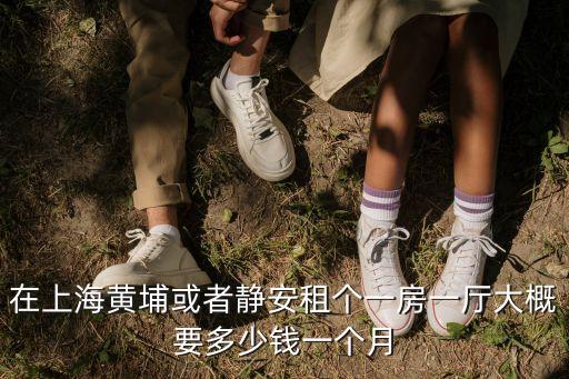 上海市群租房靜安區(qū)，在上海黃埔或者靜安租個一房一廳大概要多少錢一個月