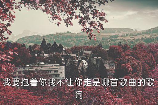 我要抱著你我不讓你走是哪首歌曲的歌詞