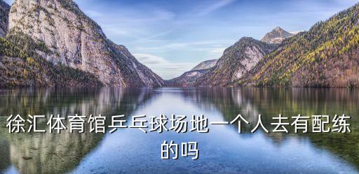 徐匯體育館乒乓球場地一個人去有配練的嗎