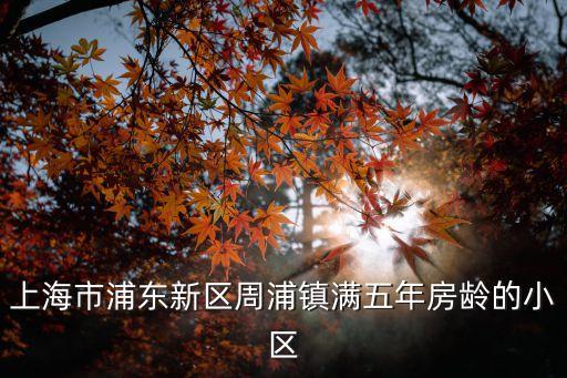 上海市星海苑二期，上海市靑浦區徐涇鎮A5以東至諸光路以西之間被違法動拆遷的企業房