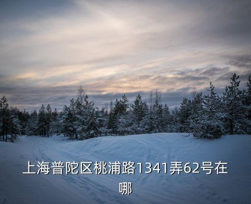 上海普陀區桃浦路1341弄62號在哪