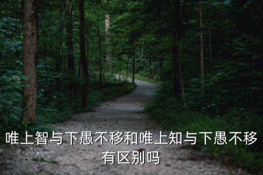 唯上，長沙市唯上商務科技學校怎么樣如何報名