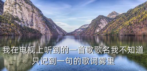 我在電視上聽到的一首歌歌名我不知道只記到一句的歌詞霧里