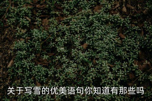 下雪的優美句子，描寫雪大雪美的句子