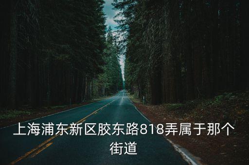 上海浦東新區膠東路818弄屬于那個街道