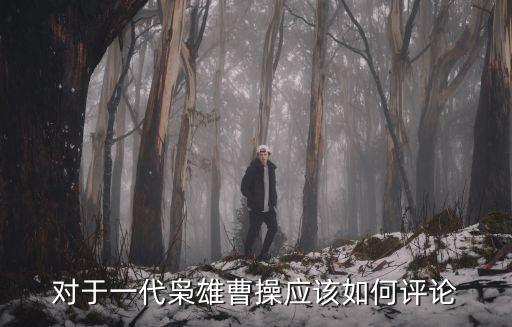 一代梟雄曹操，論一代梟雄曹操