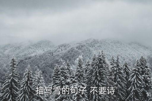 形容雪大的句子，描寫雪真大的句子
