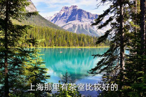 上海市南橋鎮(zhèn)大茗格茶樓，南橋 大茗閣 茶室 電話