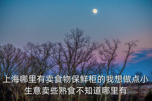 上海哪里有賣(mài)食物保鮮柜的我想做點(diǎn)小生意賣(mài)些熟食不知道哪里有