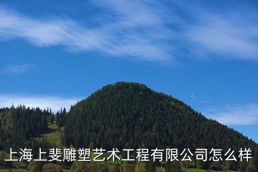 上海市雕塑定制，上海哪里可以定制木雕物品的