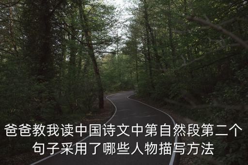 爸爸教我讀中國詩文中第自然段第二個句子采用了哪些人物描寫方法