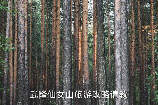 仙女山游玩攻略，武隆仙女山旅游攻略請教