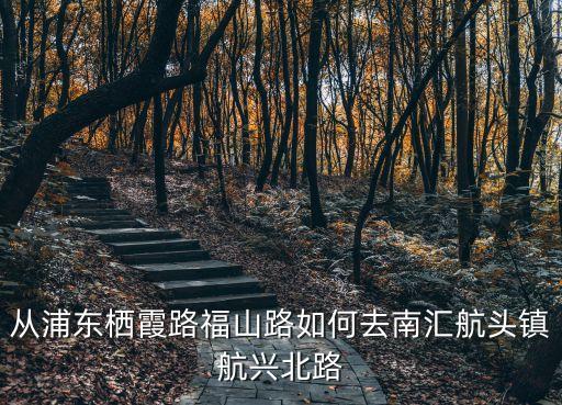 上海市浦東新區(qū)航興路，從浦東棲霞路福山路如何去南匯航頭鎮(zhèn)航興北路