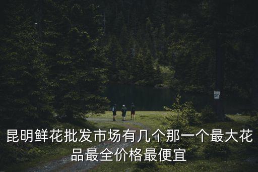 昆明鮮花批發市場有幾個那一個最大花品最全價格最便宜