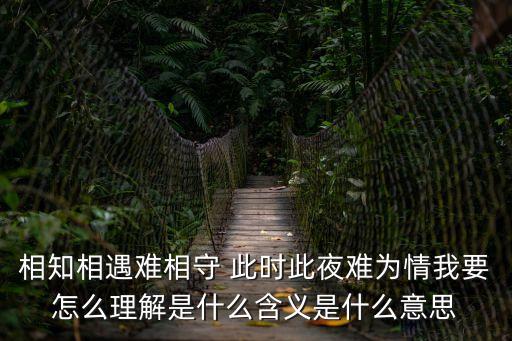 相知相遇難相守 此時(shí)此夜難為情我要怎么理解是什么含義是什么意思