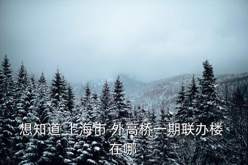 想知道 上海市 外高橋一期聯辦樓 在哪