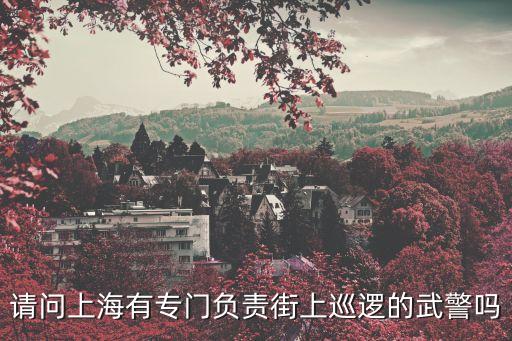 上海市十佳巡警名單，誰(shuí)能提供下倫敦巴黎東京上海廣州這幾個(gè)城市的警察數(shù)量