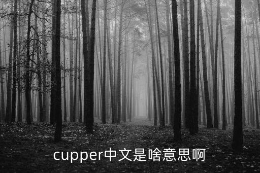吊膀子是什么意思，cupper中文是啥意思啊