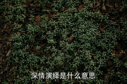 深情演繹是什么意思