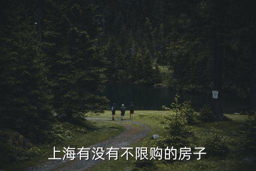 上海市哪兒不限購，上海有沒有不限購的房子
