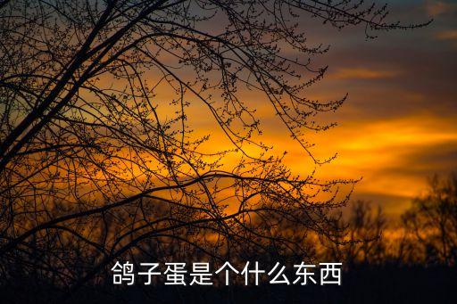 鴿子蛋是個什么東西