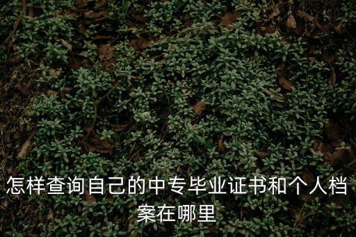 怎樣查詢自己的中專畢業證書和個人檔案在哪里