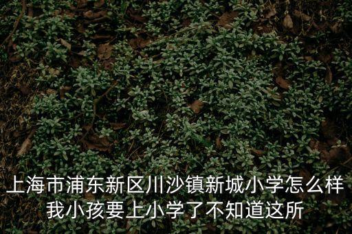 上海市浦東新區川沙鎮新城小學怎么樣我小孩要上小學了不知道這所