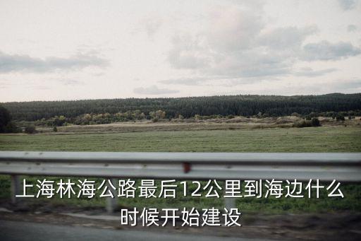 上海市林海公路小視頻，上海林海公路最后12公里到海邊什么時候開始建設
