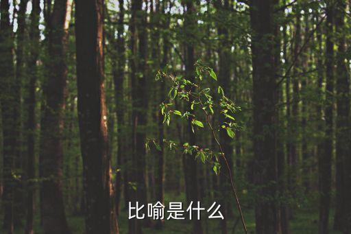 比喻是什么