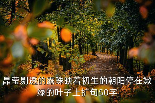 晶瑩剔透的露珠，晶瑩剔透的露珠下一句什么寫