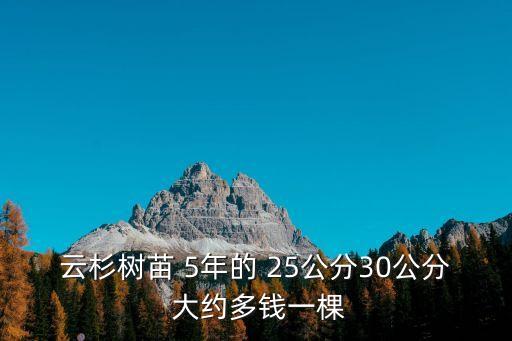 云杉樹苗，購買云杉樹苗的價(jià)格
