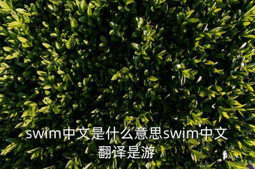 swim中文是什么意思swim中文翻譯是游