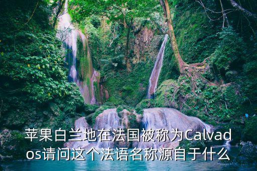 蘋果白蘭地在法國被稱為Calvados請問這個法語名稱源自于什么