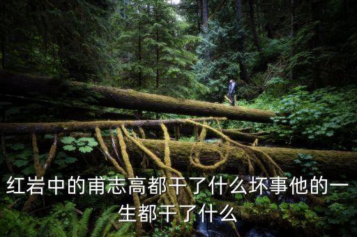 甫志高，甫志高是誰啊