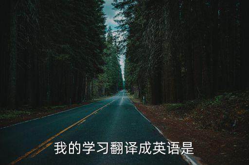 我的學習翻譯成英語是