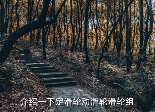 介紹一下定滑輪動滑輪滑輪組