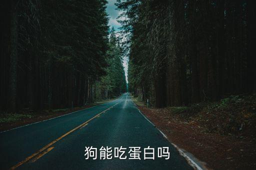狗能吃蛋白嗎