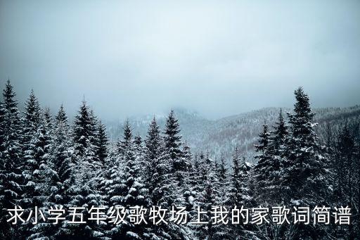 牧場上的家歌曲，有首歌的歌詞叫在那風吹得草原有我心上的人這個歌的歌名叫什么